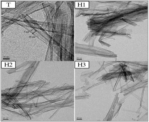 Preparation method of protonated titanate nanotubes and adsorption application of protonated titanate nanotubes to uranium and cesium