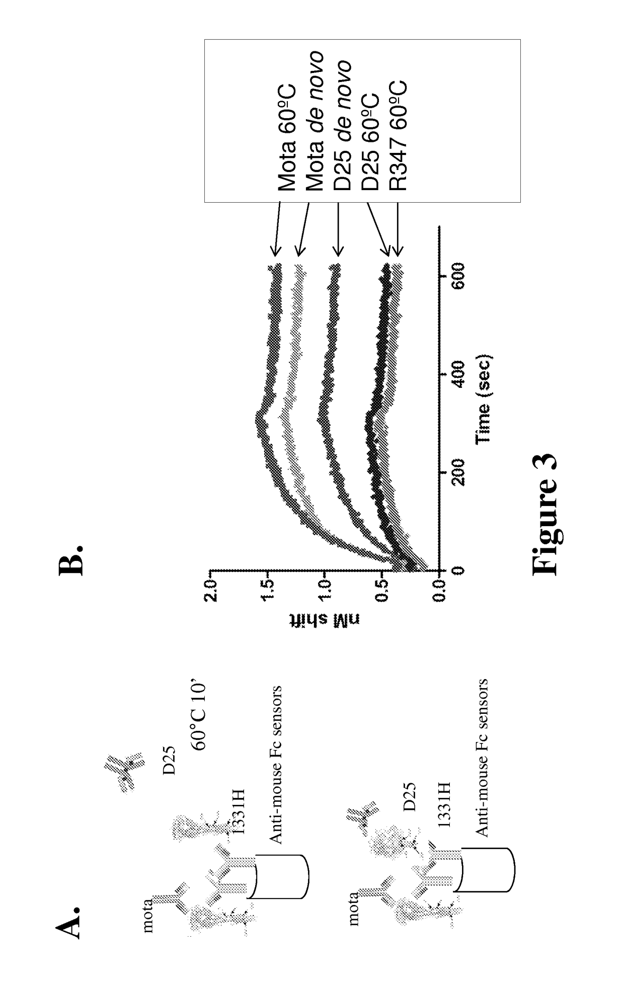 Respiratory syncytial virus F protein epitopes