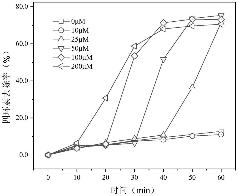 Degradation treatment method for copper complexing reinforced tetracycline pollutants