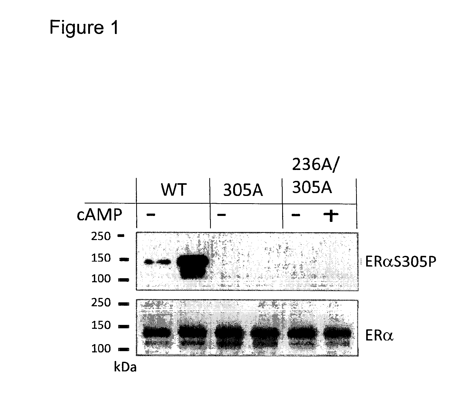 Method for predicting response to endocrine therapy