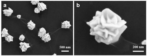 A method for preparing flower-shaped aupt alloy nanoparticles in a deep eutectic solvent and its application in electrooxidative synthesis of xanthones