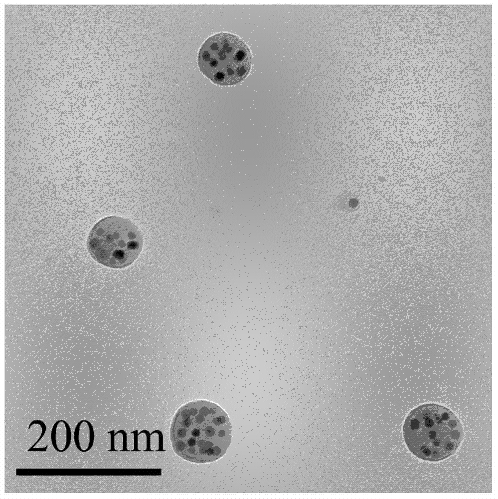 Hydrophobic drug nanometer capsule of pH response of near-infrared fluorescent trace and preparation method of hydrophobic drug nanometer capsule