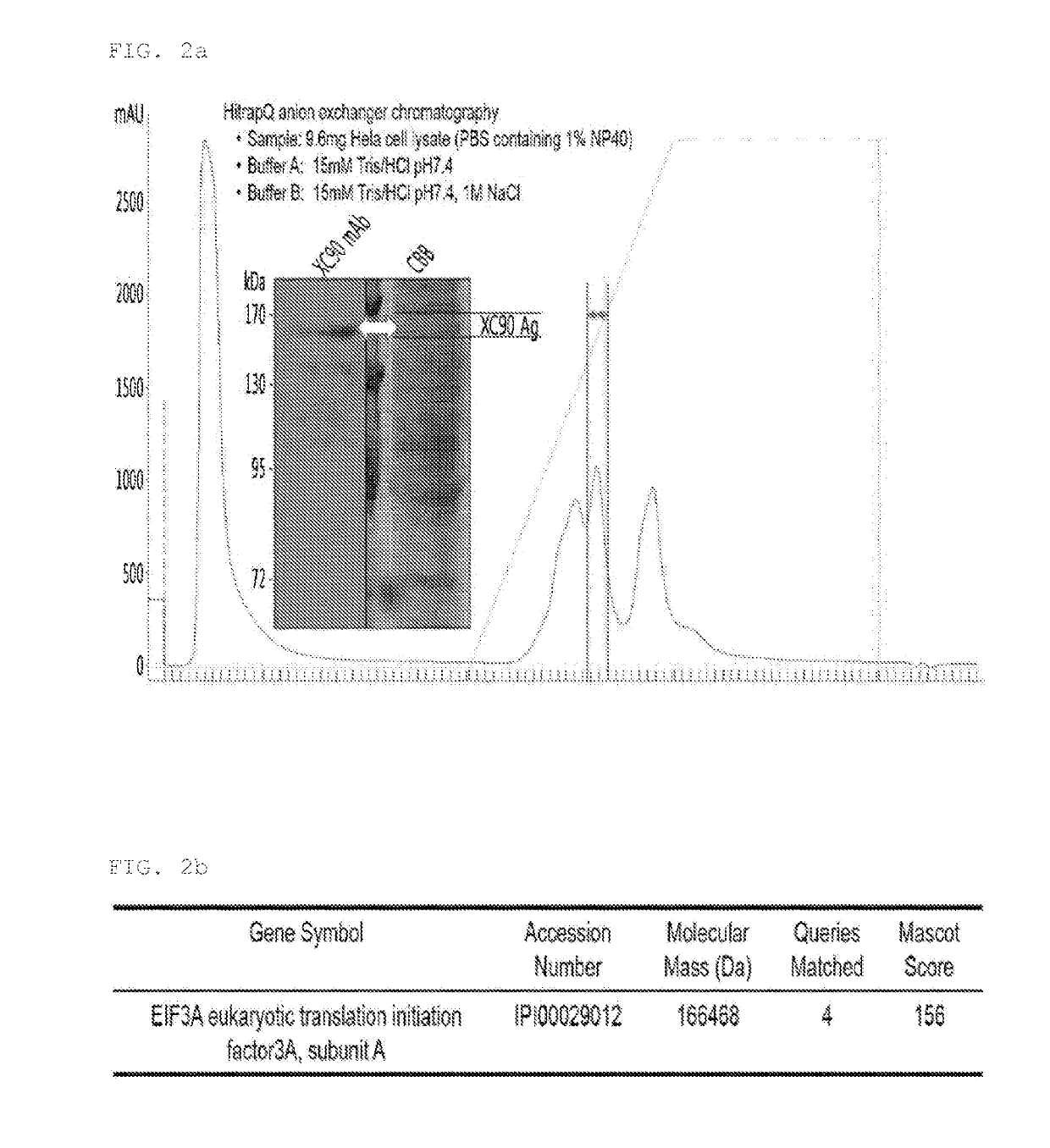 Antigenic composition for detecting auto-antibody with specific response to exosomal protein eif3a, and method for diagnosing liver cancer using antigenic composition