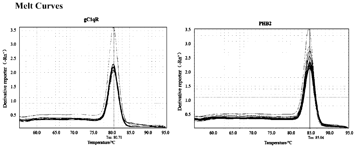 Application of PHB2 gene or protein inhibitor in preparation of anti-porcine circovirus type 2 drugs