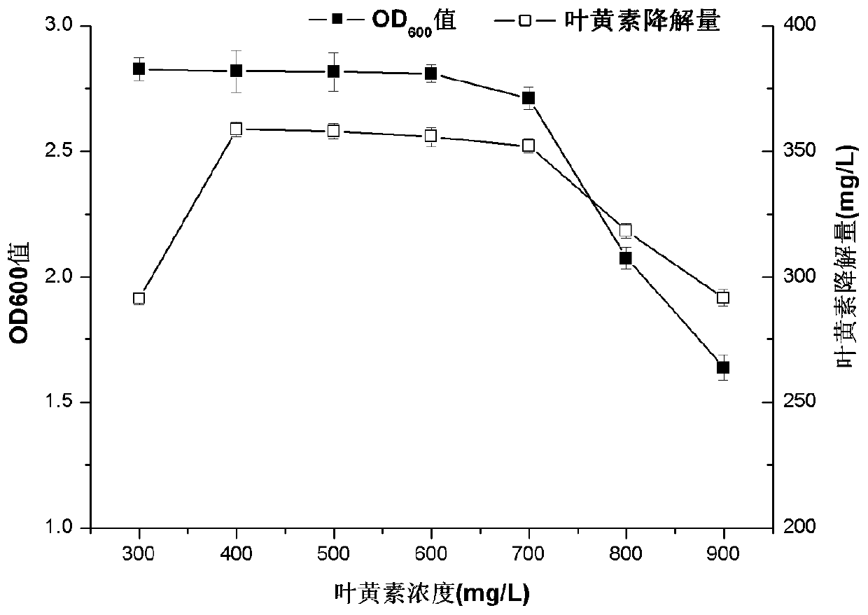 A method for biodegrading lutein to generate 8-methyl-α-ionone