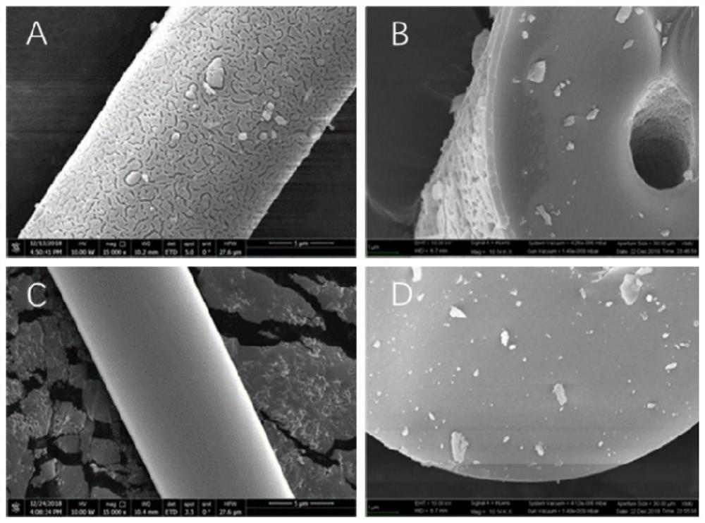 Mesoporous sponge spicule as well as preparation method and application of mesoporous sponge spicule