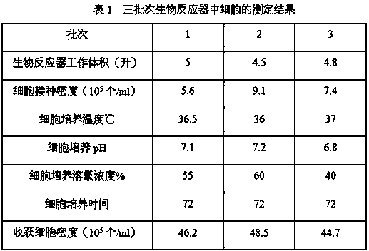 A Feline Kidney Cell Line f-81 S Adapted to Suspension Culture and Its Application