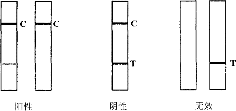 Doxycycline detection kit and preparation method thereof