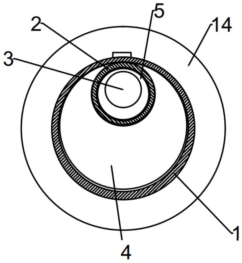 Quantitative reagent injection device