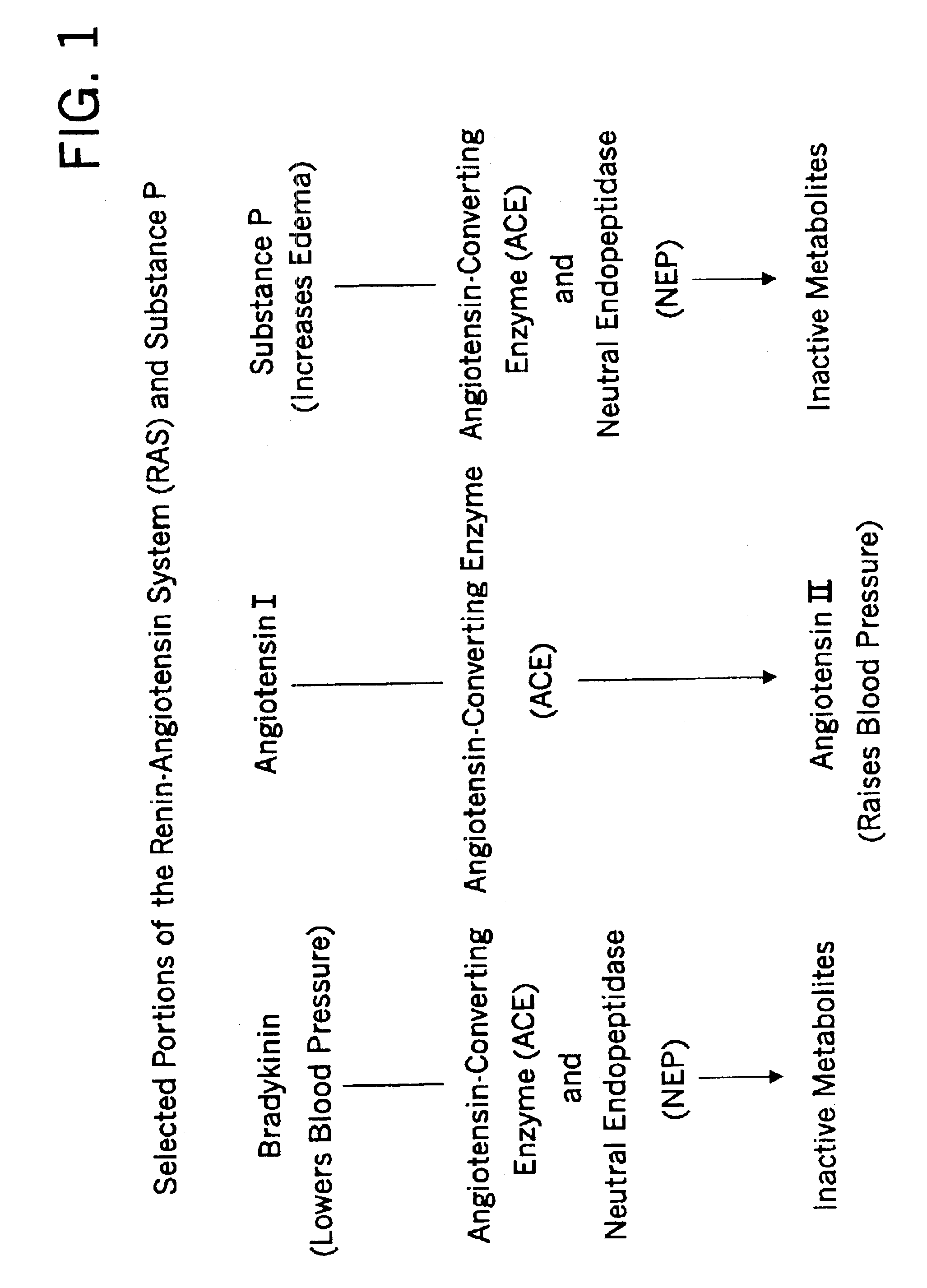 Methods for identifying contraindications to angiotensin converting enzyme inhibitor and/or vasopeptidase inhibitor treatment