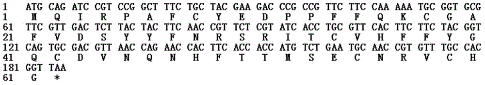 Preparation method of recombinant coral snake poison protein MitTx