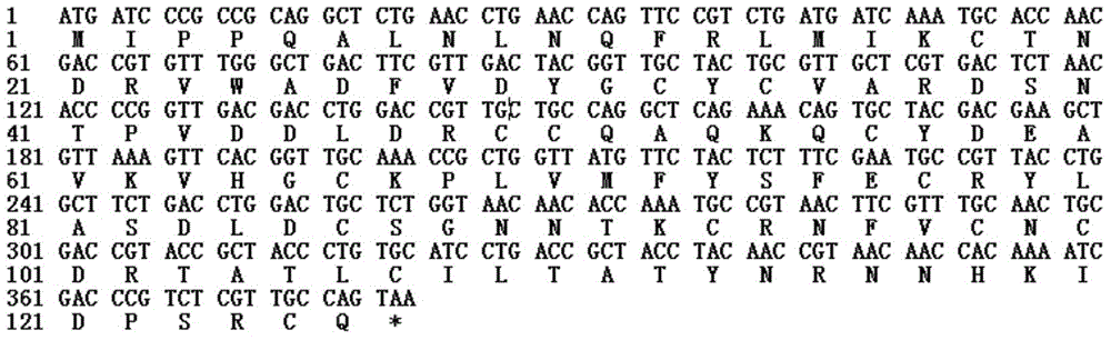 Preparation method of recombinant coral snake poison protein MitTx