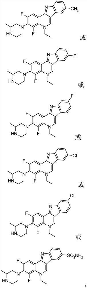 Isorcryptolepine analogue, preparation method of isorcryptolepine analogue from lomefloxacin, and application thereof