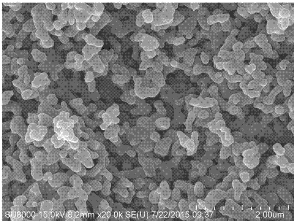 Detection method of trace substance content using micro-nano structure oxide ceramic material