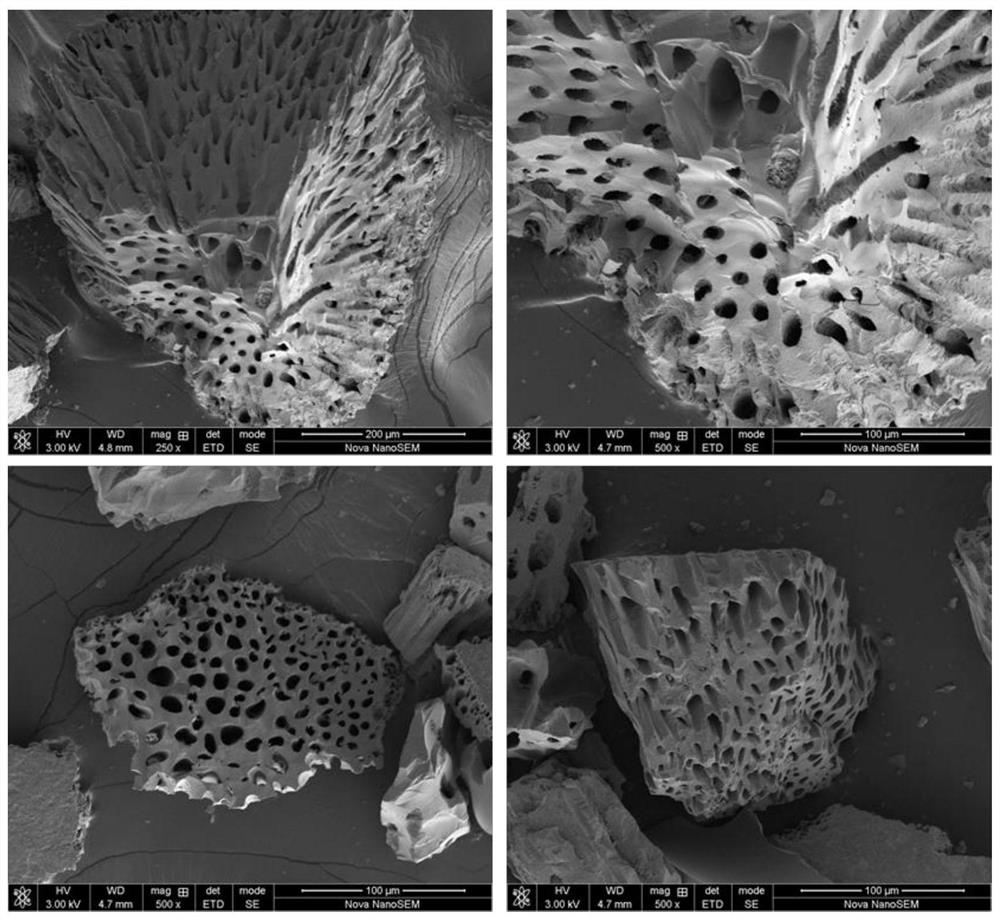 Ozone Catalyst with Surface Overbased Spherical Activated Carbon and Its Application