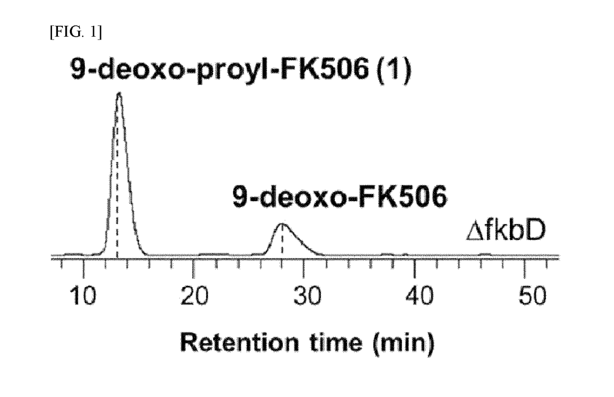 Fk506 derivative maintaining nerve regeneration activity without immunosuppressive activity, and use thereof