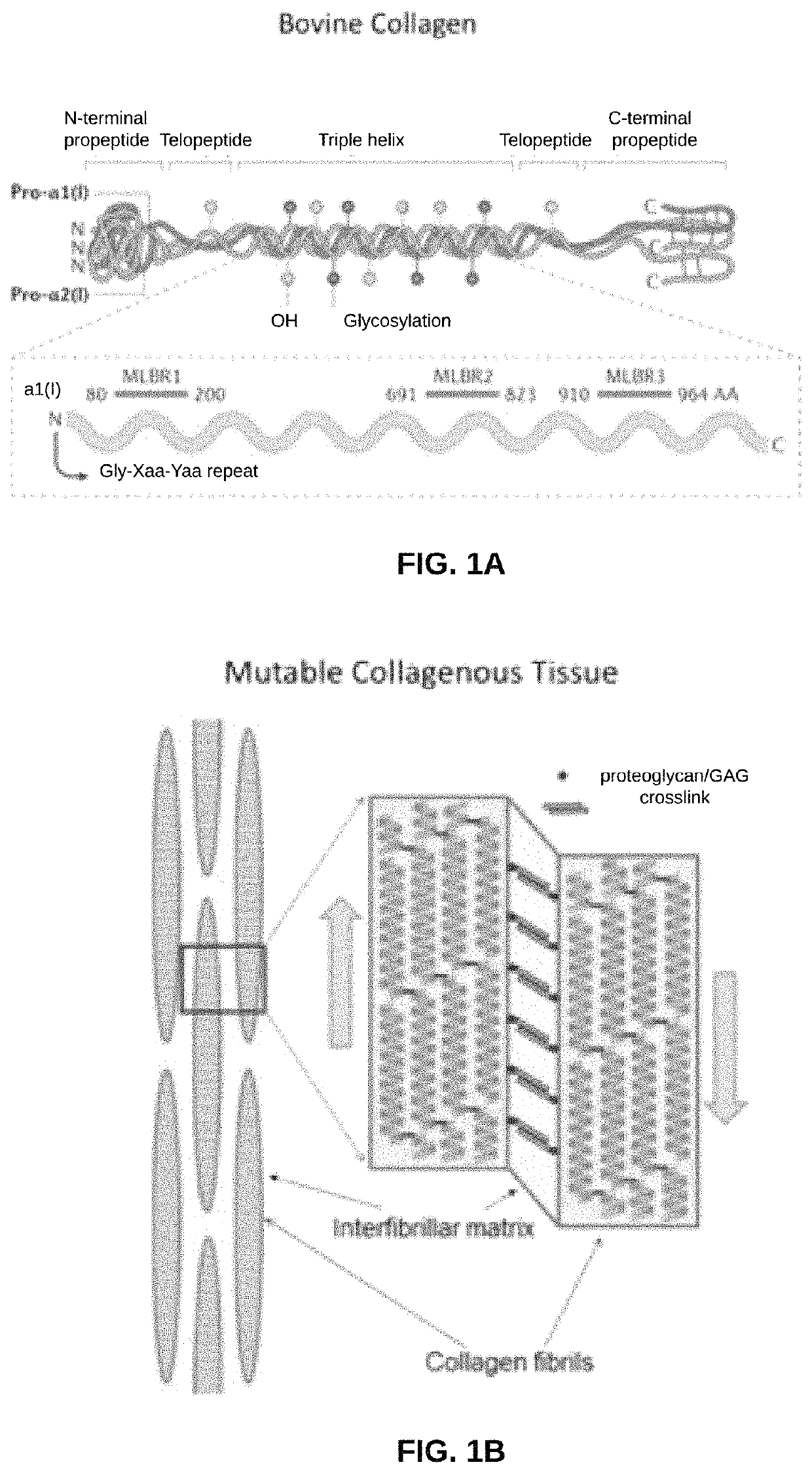 Biomaterial devices and topical compositions for treatment of skin abnormalities