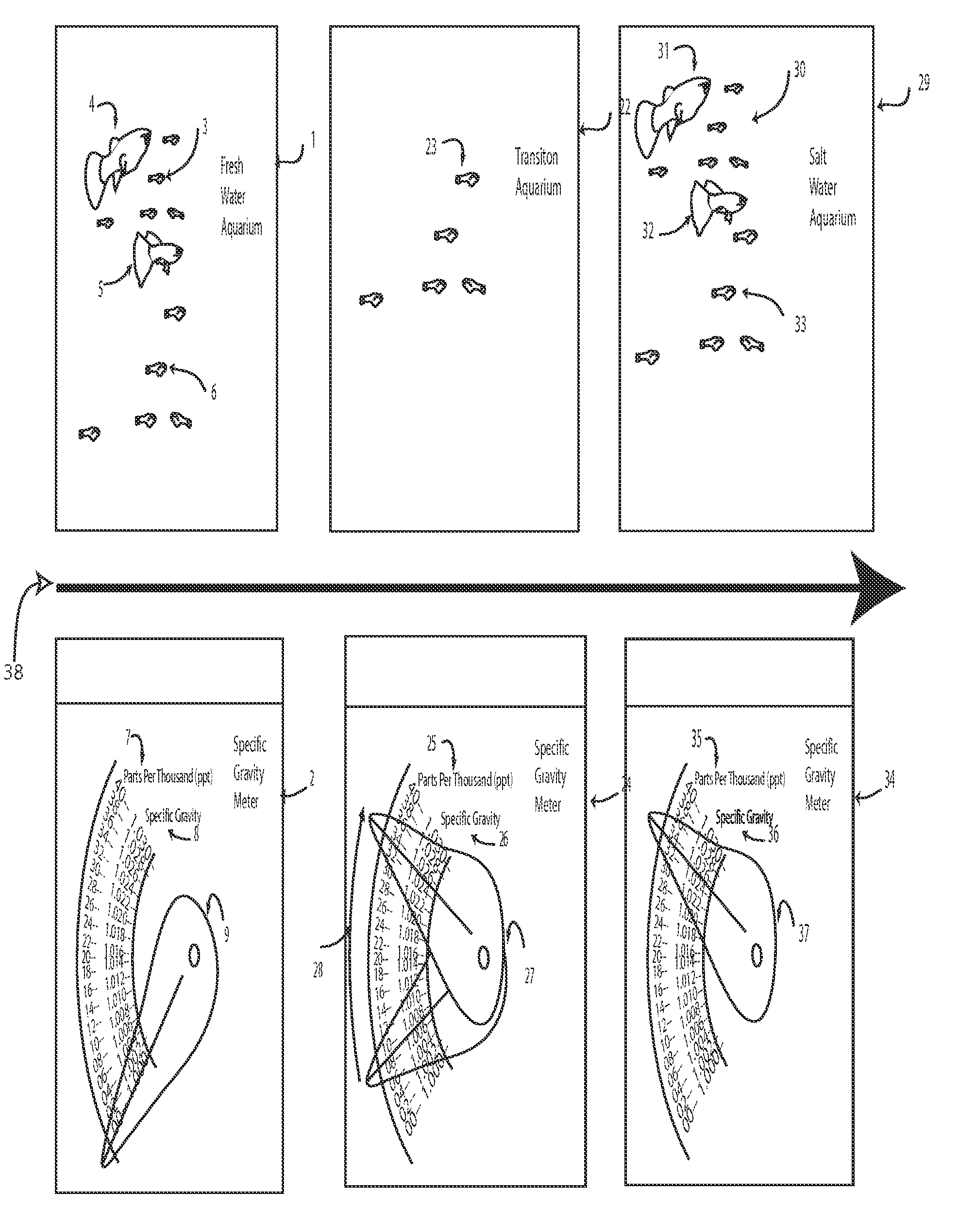 Process to enable live-bearing fresh water fish to live and breed in a salt water environment.