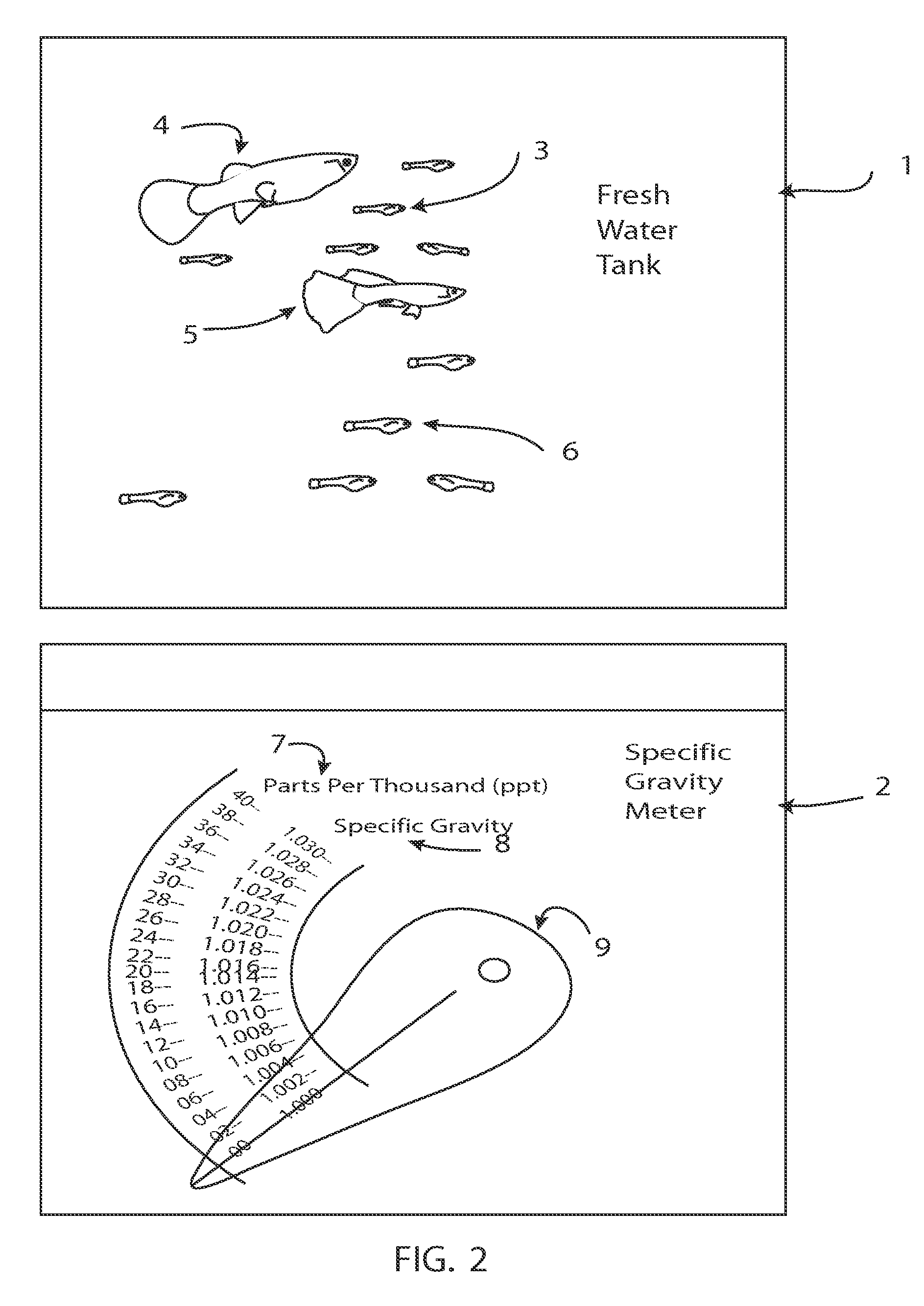 Process to enable live-bearing fresh water fish to live and breed in a salt water environment.