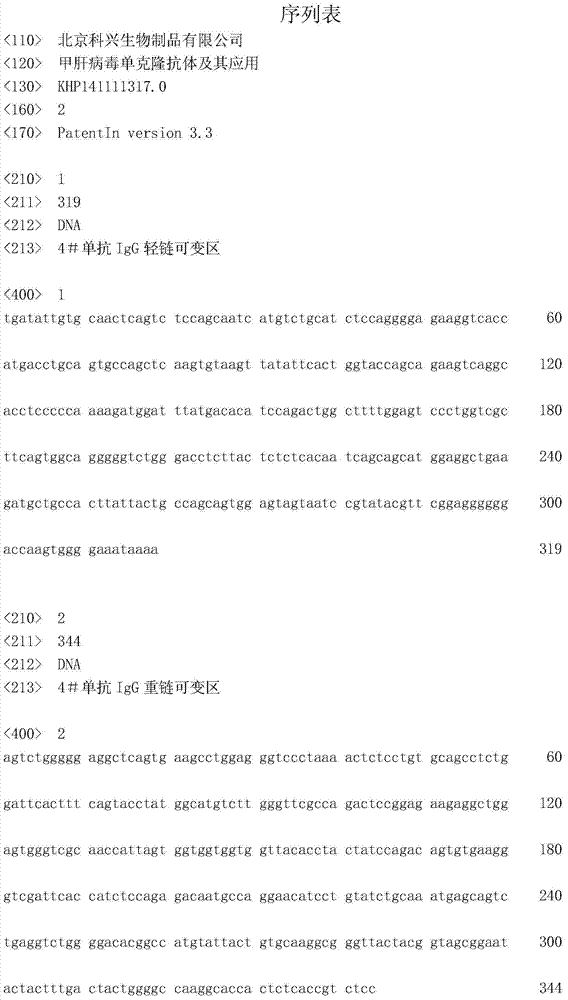 Hepatitis A virus monoclonal antibody and its application