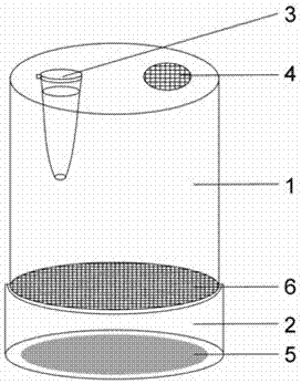 Device for breeding bees and application