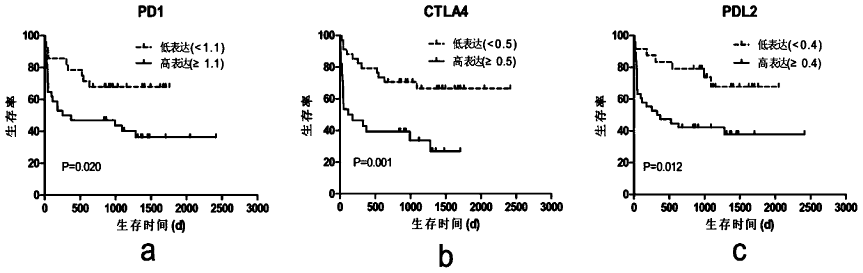 Application of PD1 (programmed cell death 1)-CTLA4 (cytotoxic T lymphocyte-associated antigen-4) and/ or PDL2 (programmed cell death 1 ligand 2)-CTLA4 for preparing kit for predicting AML (acute myeloid leukemia) prognosis