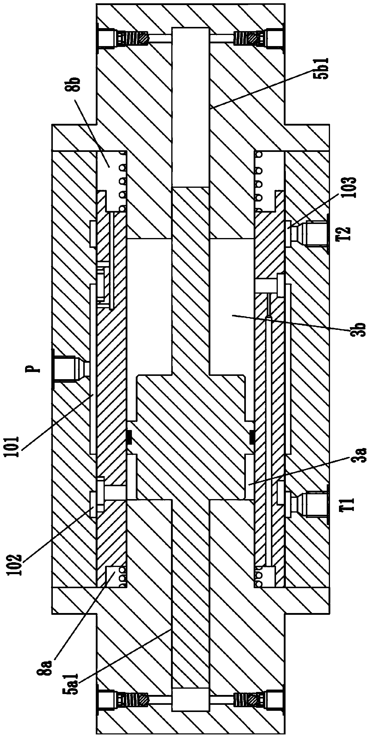 High-pressure water pump with compact volume