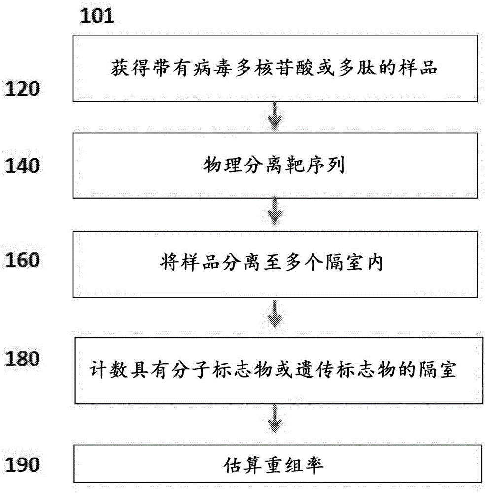 Genetic assays