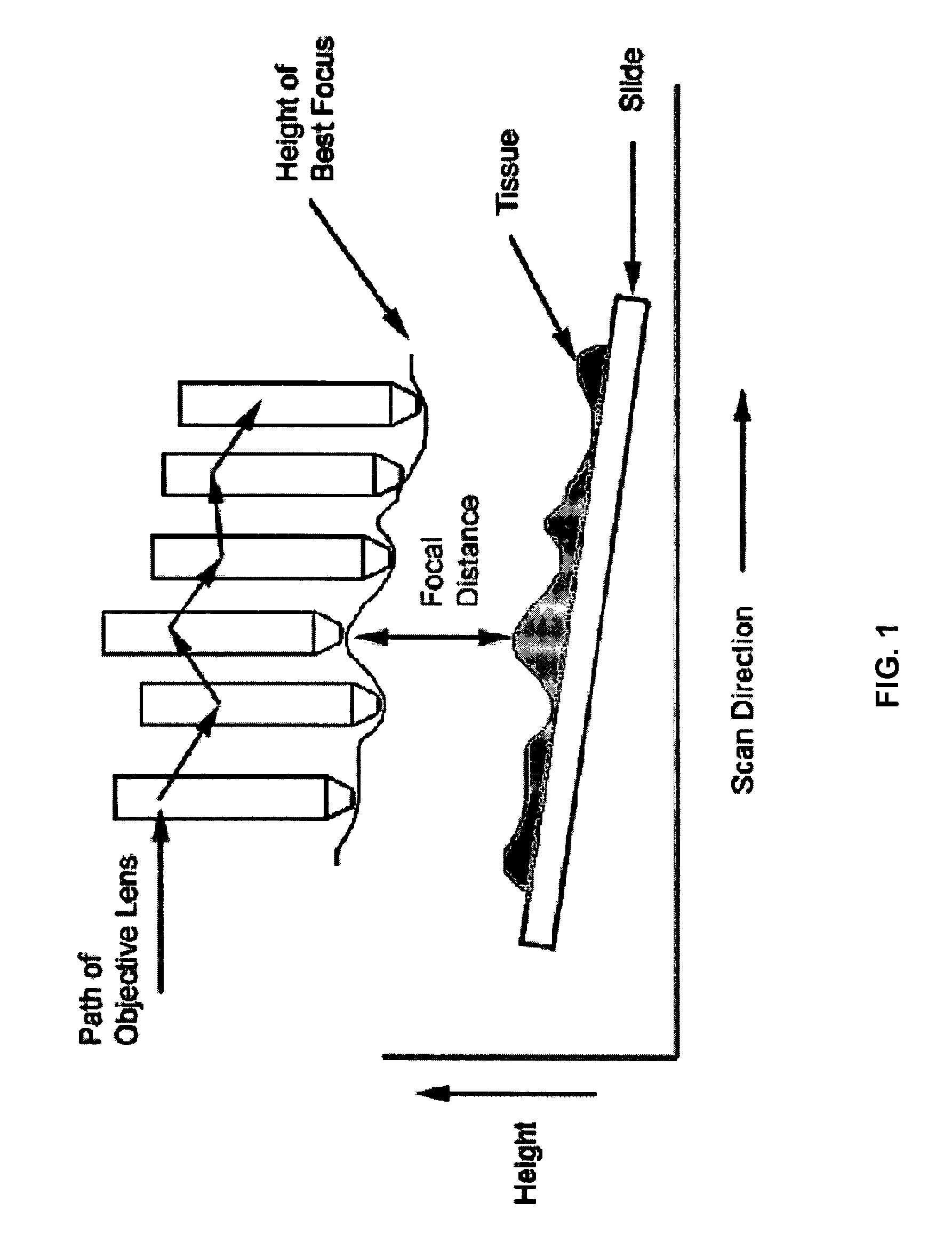 Method and apparatus for pre-focus in a linear array based slide scanner