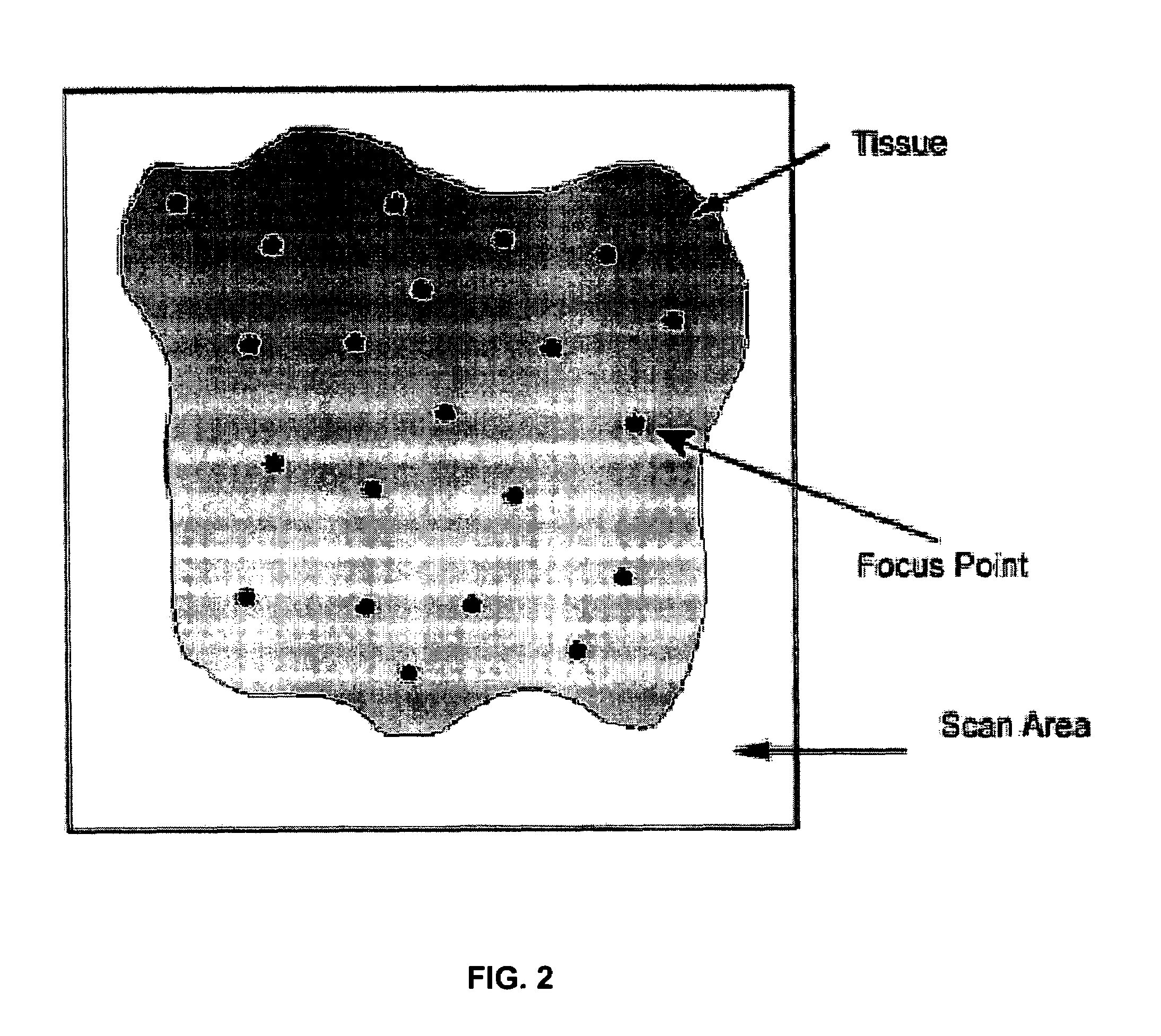 Method and apparatus for pre-focus in a linear array based slide scanner