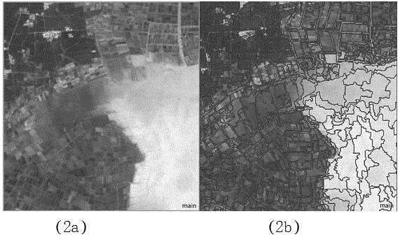 Lake water area information extraction method based on Landsat OLI multispectral image