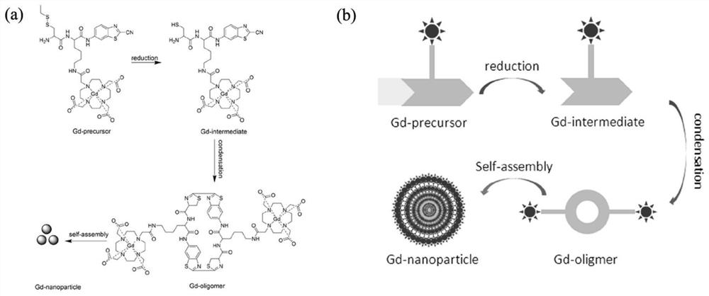 Dynamic organic gadolinium nanoparticle and application thereof
