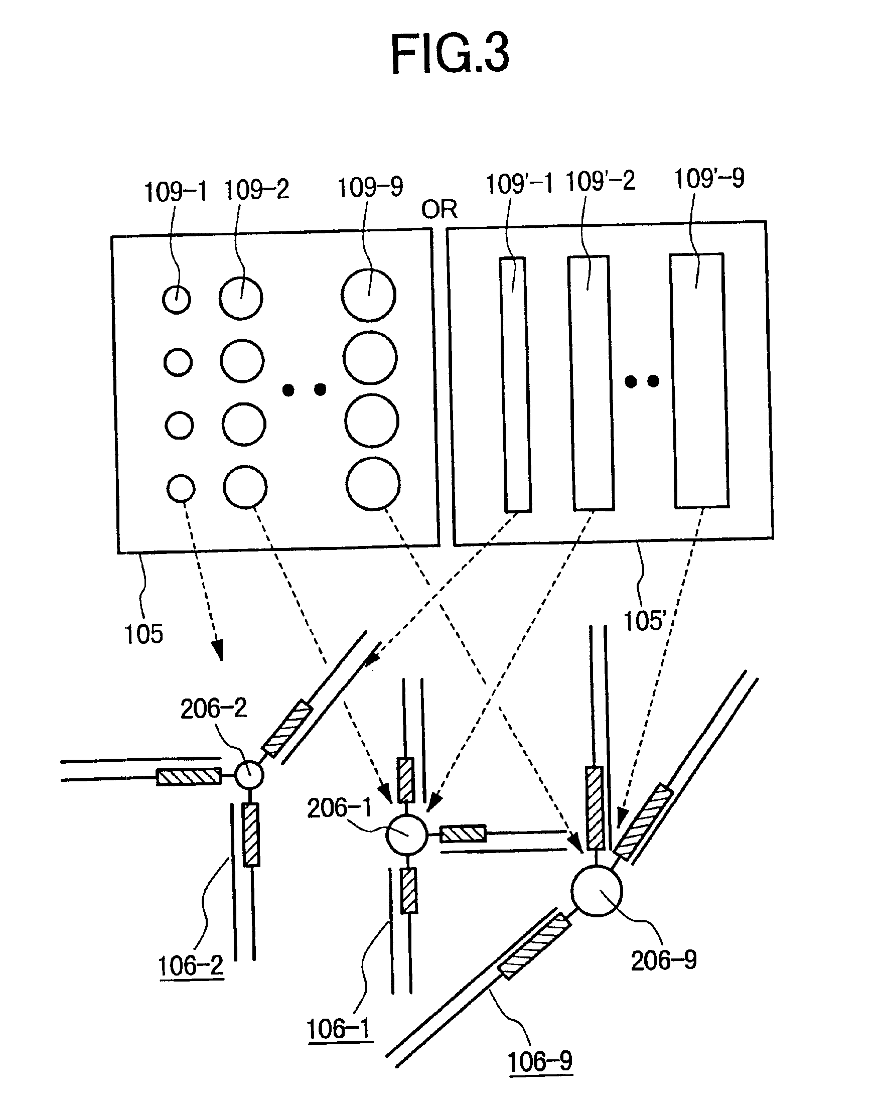 Sample preparation method and a sample preparation apparatus for DNA analysis