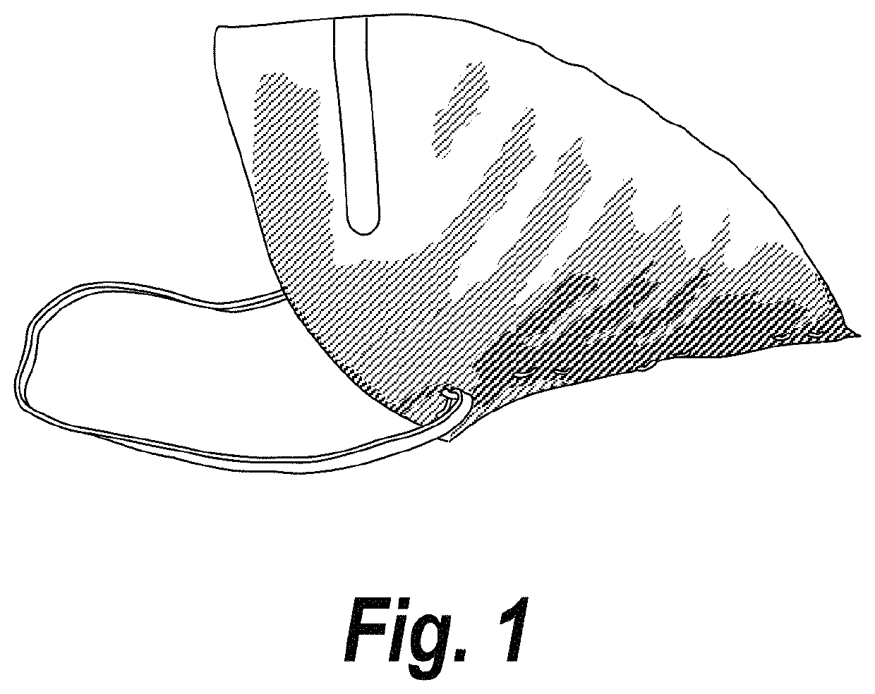 Mint mask and methods of use thereof