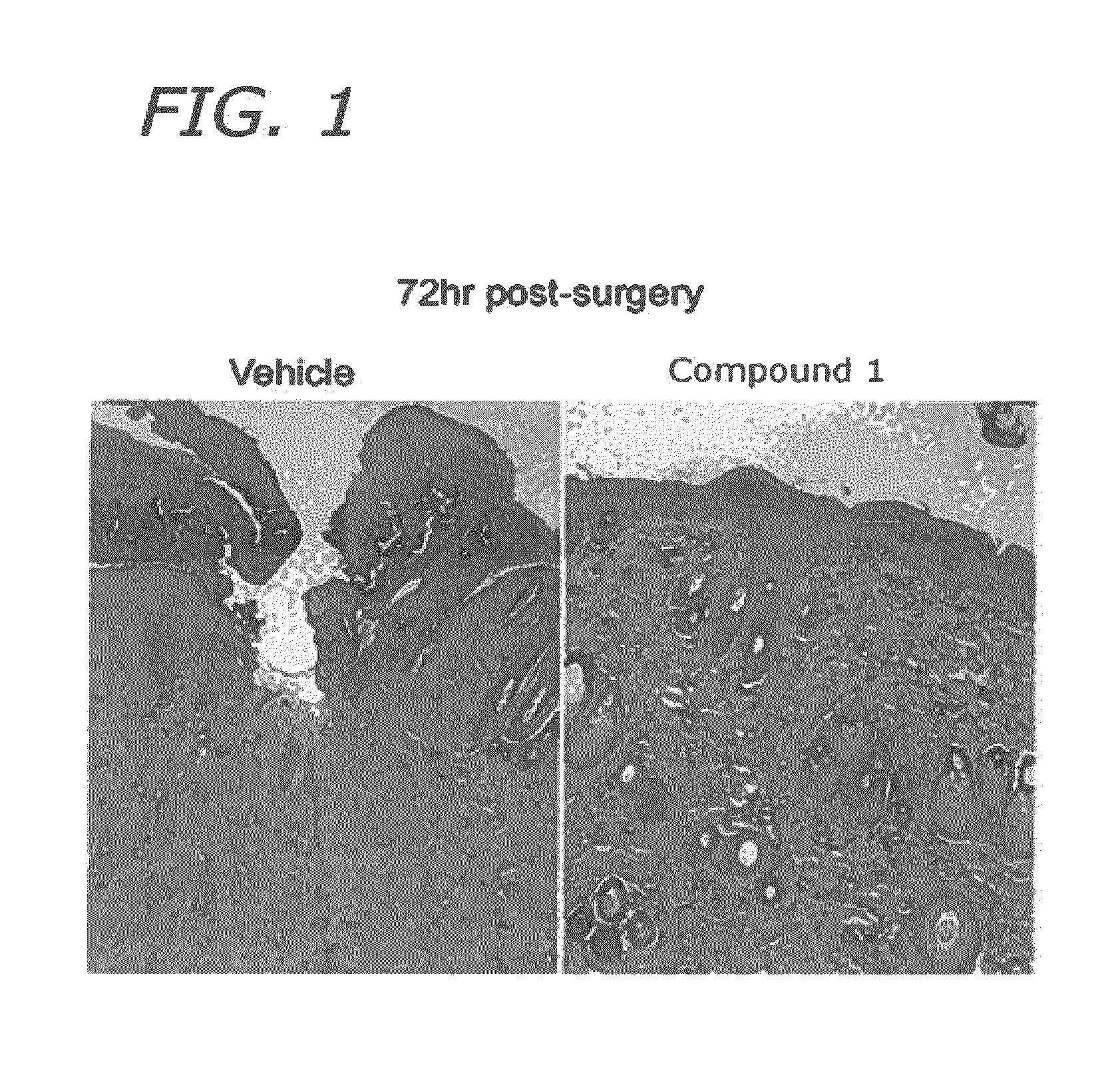 Compounds and methods for skin repair