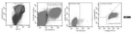 An antibody composition for detecting the therapeutic effect of multiple myeloma, its kit and application