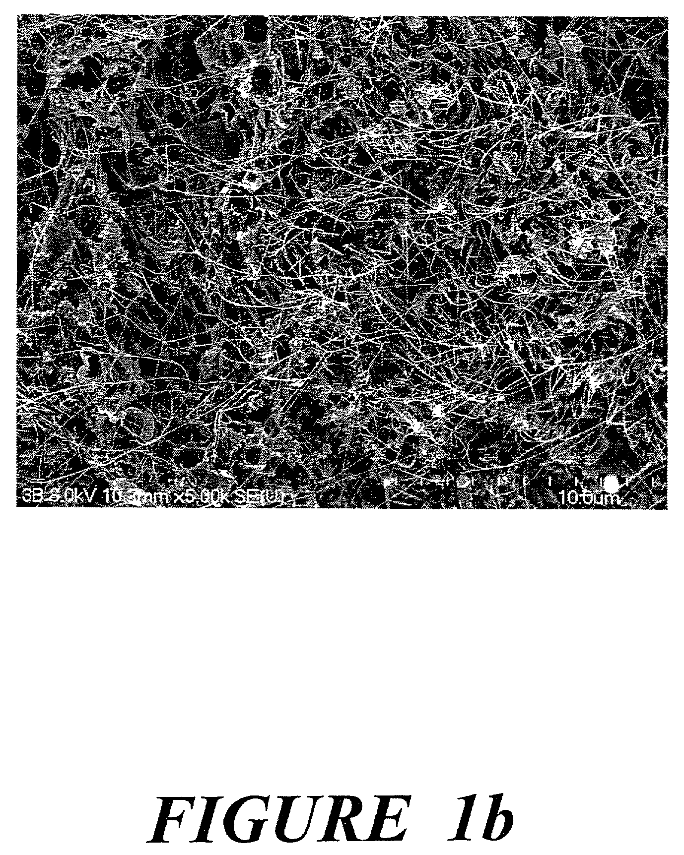 Halogen containing-polymer nanocomposite compositions, methods, and products employing such compositions