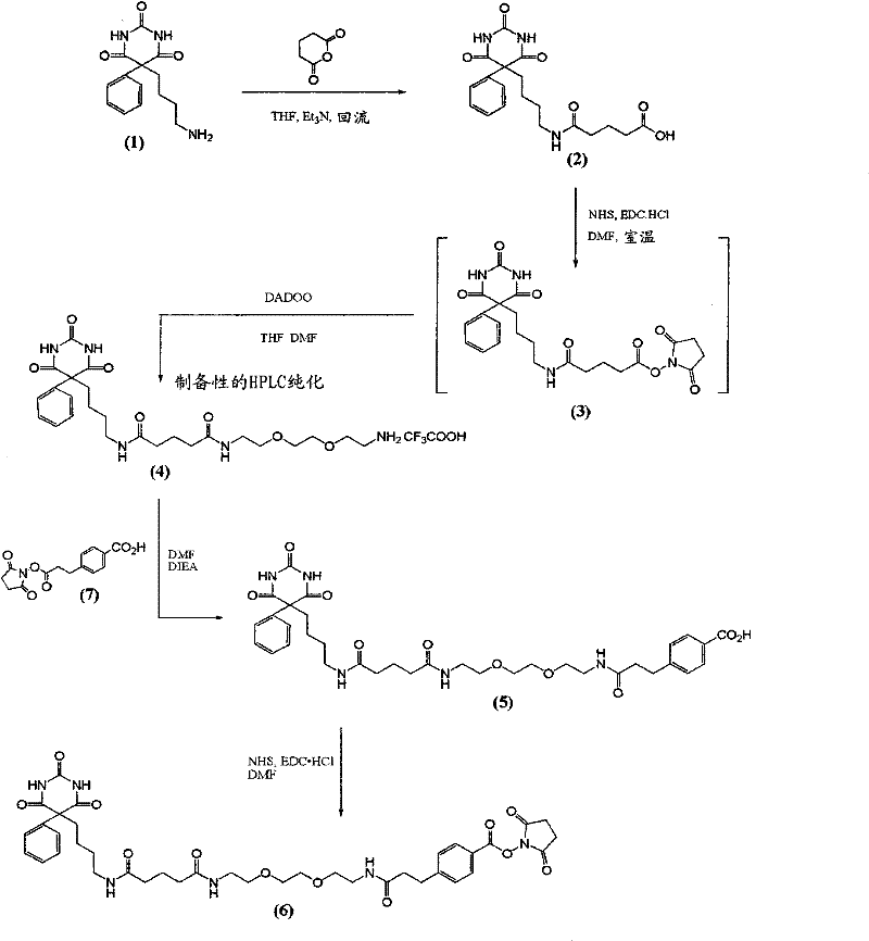 Phenobarbital derivatives useful in immunoassay