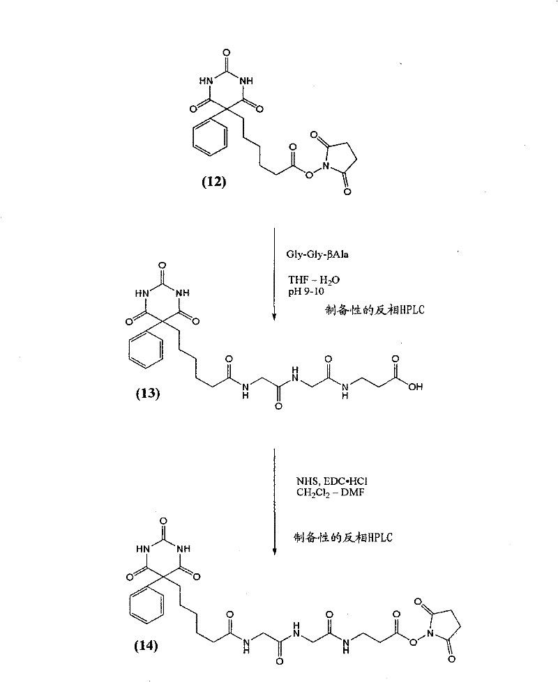 Phenobarbital derivatives useful in immunoassay