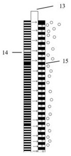 Method for selectively separating anions and cations in salt-containing wastewater by coupling electric field with composite electrofiltration membrane