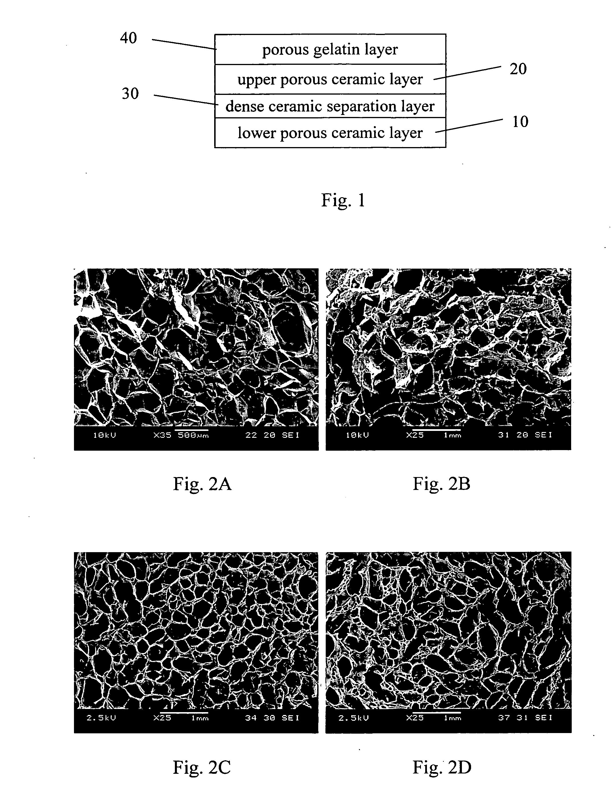 Osteochondral composite scaffold for articular cartilage repair and preparation thereof