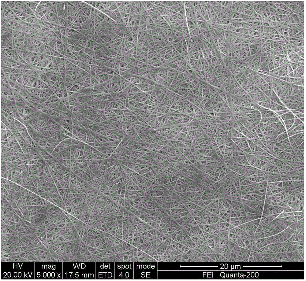 Chrysotile nanofiber and resin composite transparent film, and preparation method and application thereof