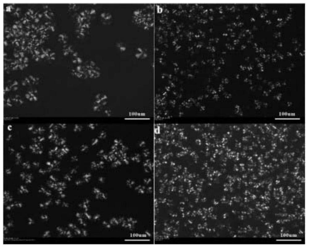 A kind of polylactic acid foam material with nano cells and preparation method thereof