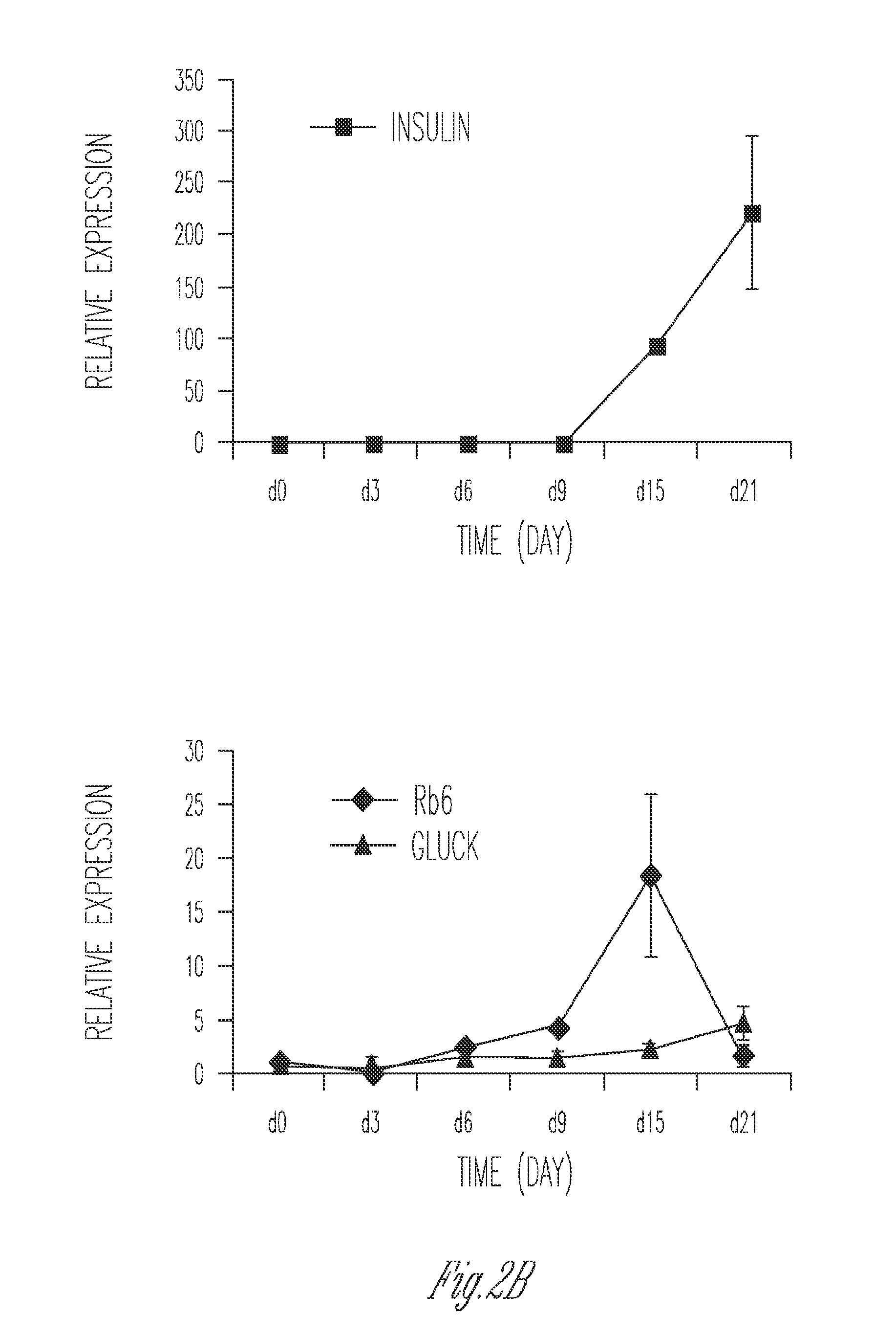 Production of insulin producing cells