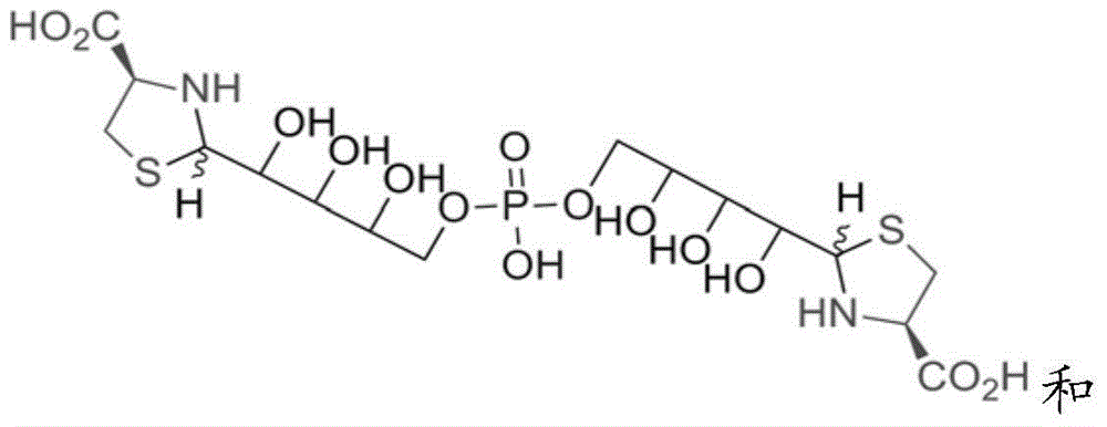 Sugar alcohol phosphate thiazolidine-4-carboxy compound and application thereof