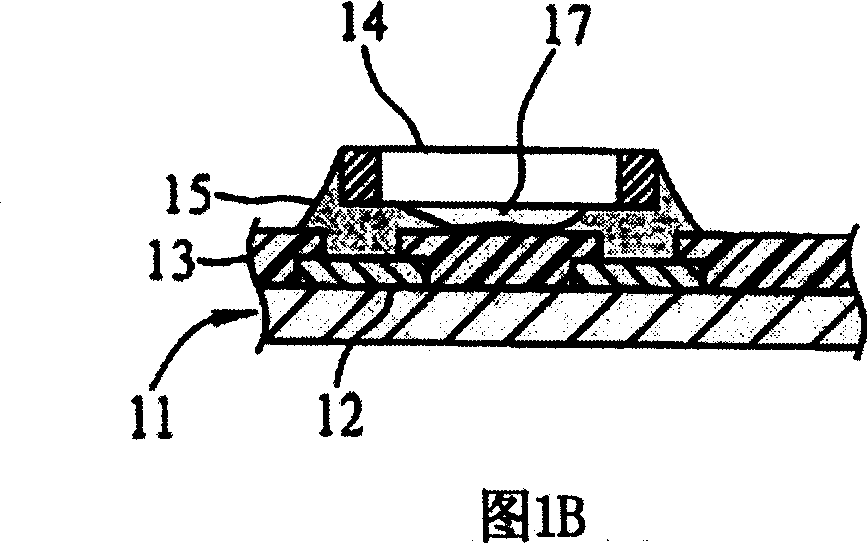 Electronic carrier plate and packaging structure thereof