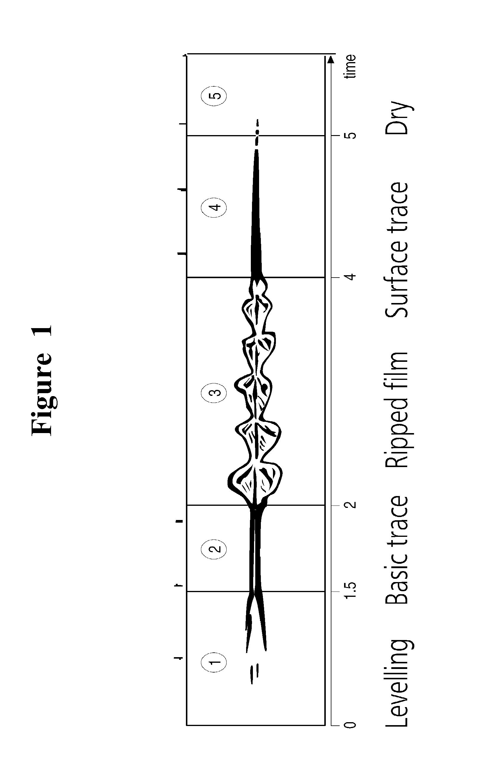Water borne epoxy resin dispersions and epoxy hardener compositions