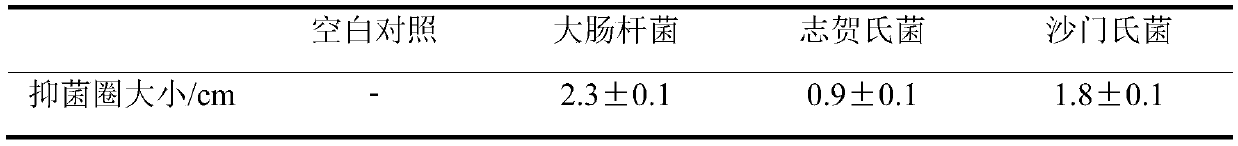 Bacteriostatic protective agent as well as preparation method and application