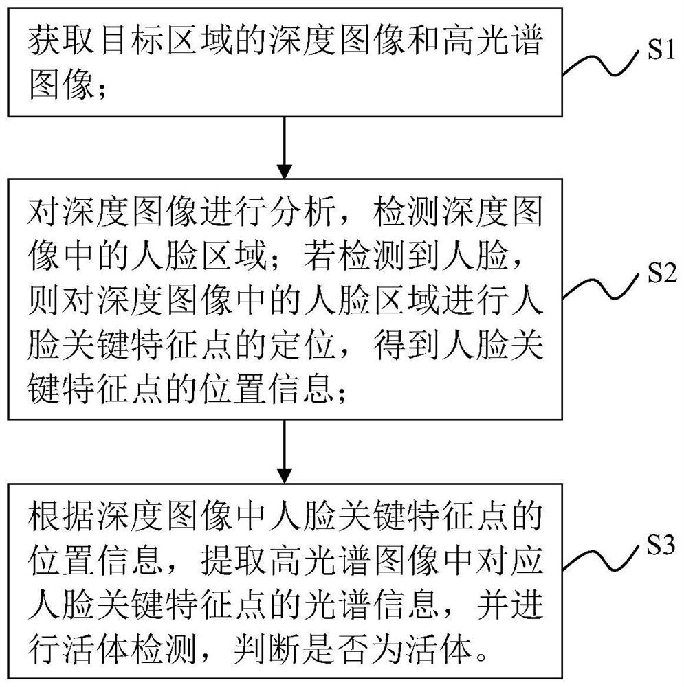 Living body face detection method and system