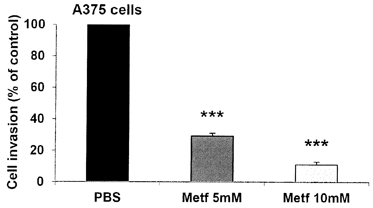 Methods and Compositions for Preventing Metastasis and for Improving the Survival Time